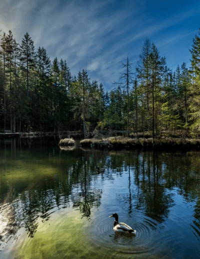Einfach Roger Naturfotografie